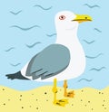 Seagull at the Beach