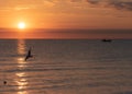 Seagull - Baltic Sea - Usedom Island