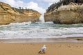Seagull in the beautiful Loch Ard Gorge in the Port Campbell National Park along the Great Ocean Road, Australia