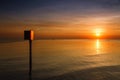 Seagull bird with amazing colorful sky and sea on twilight sunset time seascape.Nature background Royalty Free Stock Photo