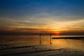 Seagull bird with amazing colorful sky and sea on twilight sunset time seascape.Nature background Royalty Free Stock Photo