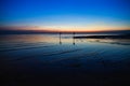 Seagull bird with amazing colorful sky and sea on twilight sunset time seascape.Nature background Royalty Free Stock Photo