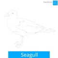 Seagull bird learn to draw vector