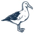 Seagull bird monochrome detailed logotype Royalty Free Stock Photo