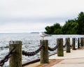 Seagull bird on walkway fence by water