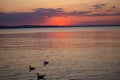 Seagull birds silhouettes on the Black Sea coast. Sunset sun through the clouds on an afternoon. Beautiful nature Royalty Free Stock Photo