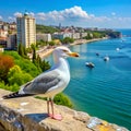 Seagull on the Black Sea in Yevpatoriya, Crimea Royalty Free Stock Photo