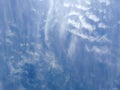 A seagull in the blue sky above the Baltic Sea Royalty Free Stock Photo