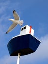 Seagull and the boat