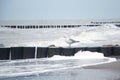 Seagull on breakwater