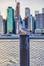 Seagull and the Manhattan, New York Royalty Free Stock Photo