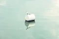 The seagull on the buoy, blue filter Royalty Free Stock Photo