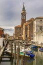 seagull in the canals of Chioggia in Italy