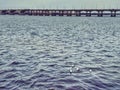 A seagull is cast over the river Dnieper. The city is immersed in gray haze. Bird in the middle of the water. Spring day.