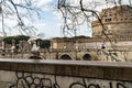 Seagull with Castel Sant Angelo in Rome in Italy in the background