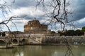 Seagull with Castel Sant Angelo in Rome in Italy in the background