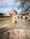Seagull with Castel Sant Angelo in Rome in Italy. Tiber river