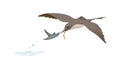 Seagull Catching a Fish in Dynamic Ocean Hunt, vector design Generative AI Royalty Free Stock Photo