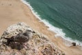 Seagull on the cliff