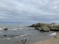 a seagull in a cloudy sky over the sea waves