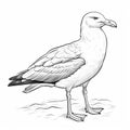 Seagull Coloring Pages: Alex Gross Style Sketchfab Seagull Outlines Royalty Free Stock Photo