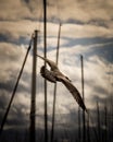 Seagull on concrete ground Royalty Free Stock Photo