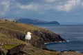 Seagull. Dingle peninsula. Ireland