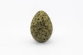 Seagull egg Royalty Free Stock Photo