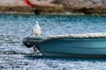 Seagull on a fishermans boat
