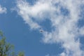 Seagull flies against the blue sky with white clouds Royalty Free Stock Photo