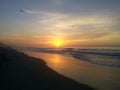 Seagull Flies Along Shore At Sunrise Royalty Free Stock Photo