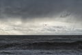 The Seagull flies away on a background of black rain clouds and white Cumulus clouds and storm on the sea