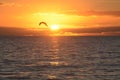 A seagull flies through the beam of the sunrise on an island beach Royalty Free Stock Photo