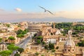 A seagull flies by the Forum, Capitoline Hill, Coliseum, Rome, Italy Royalty Free Stock Photo