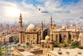 Seagull flies by The Mosque-Madrassa of Sultan Hassan from the Citadel, Cairo, Egypt