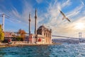 Seagull flies by Ortakoy Mosque, beautiful view from the pier, Istanbul Royalty Free Stock Photo