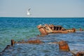 A seagull flies over rusty remains of a ship