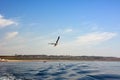 A seagull flies over the sea waves against the background of the blue sky Royalty Free Stock Photo