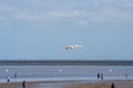 Seagull in flight over the beach in Cuxhaven, Germany. Flying white bird Royalty Free Stock Photo