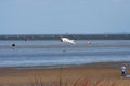 Seagull in flight over the beach in Cuxhaven, Germany. Flying white bird in the air on the blue sky Royalty Free Stock Photo