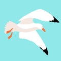 Seagull in flight vector illustration style Flat