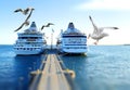 seagull fly and two cruise ship in harbor and pier Baltic sea blue sky and sea water wave nature landscape Royalty Free Stock Photo