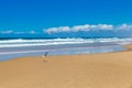 Seagull Flying above Coastline with Sand Beach at Stockton Beach, New South Wales, Australia