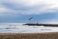 Seagull flying against blue dramatic cloudy sky Royalty Free Stock Photo