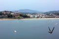 A seagull flying along the shore Royalty Free Stock Photo