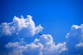 Seagull flying on background of blue sky with white clouds Royalty Free Stock Photo
