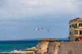 Seagull flying on bay of Gallipoli Royalty Free Stock Photo