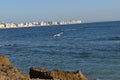 Seagull flying - beach of Cadiz