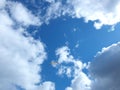 Seagull flying in the blue sky