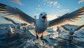 Seagull flying in the blue sky, spreading its wings in mid air generated by AI Royalty Free Stock Photo